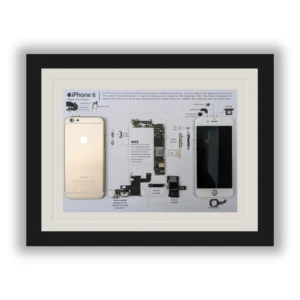 framed deconstructed iPhone 6