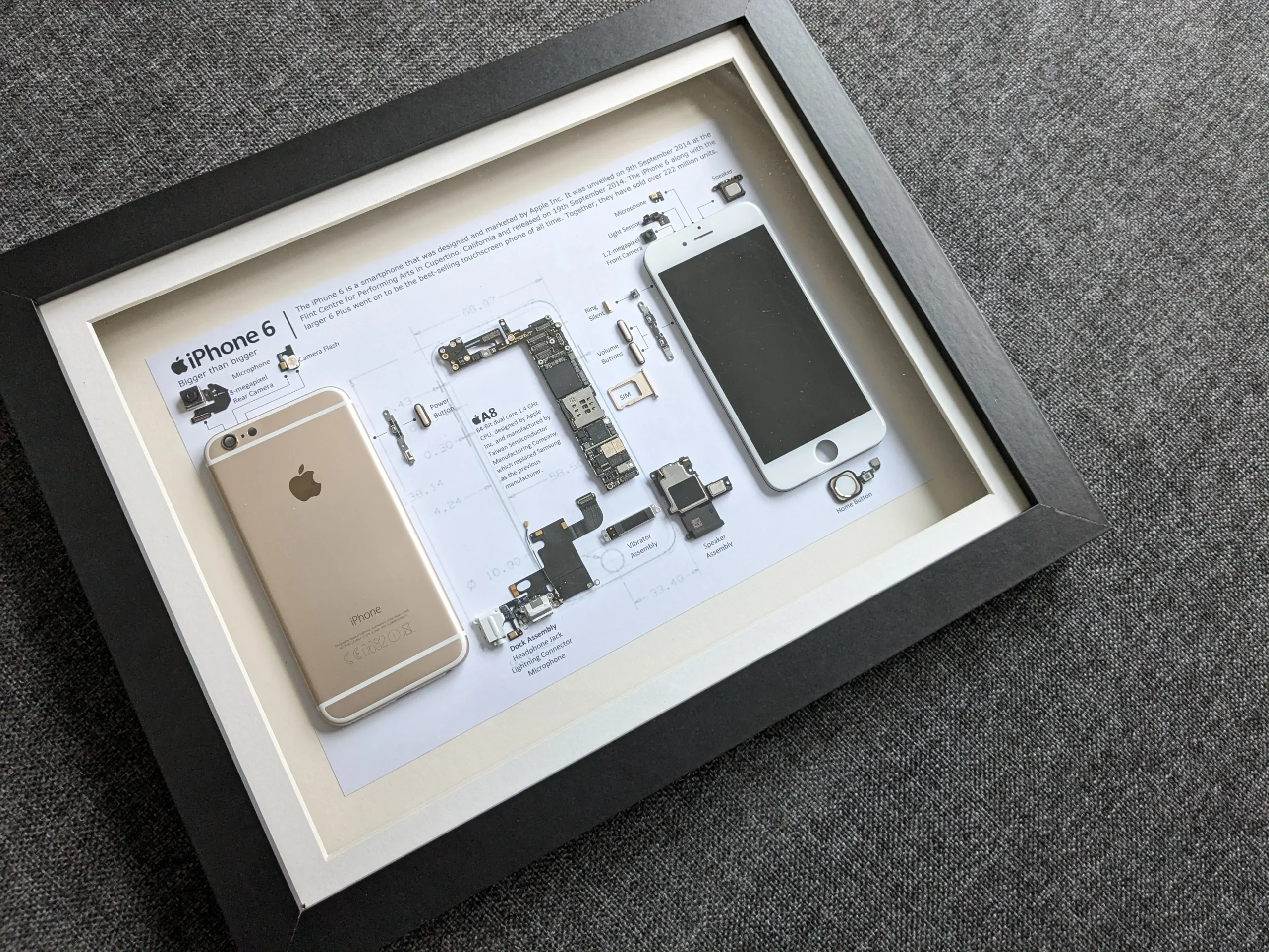 framed deconstructed iPhone 6